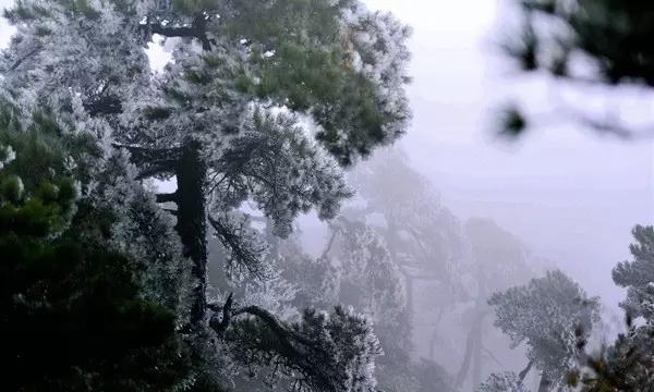 你知道满清的九大姓氏吗？游戏画面