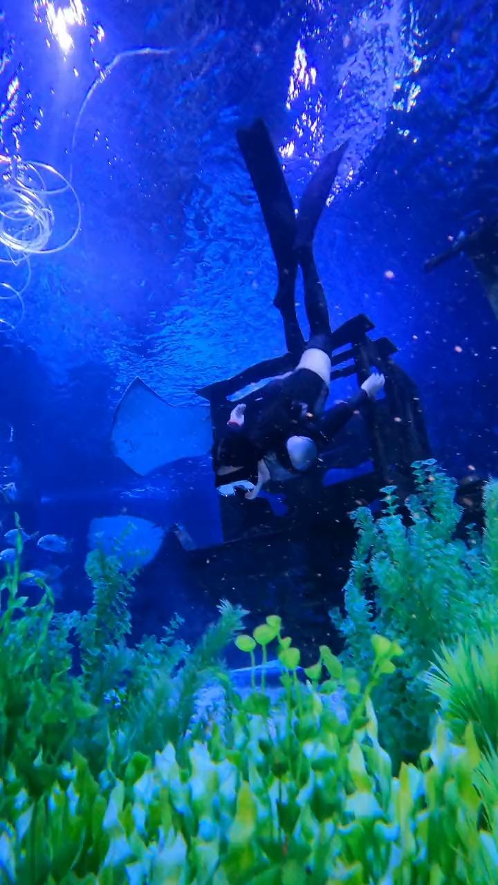 小初音大冒险2