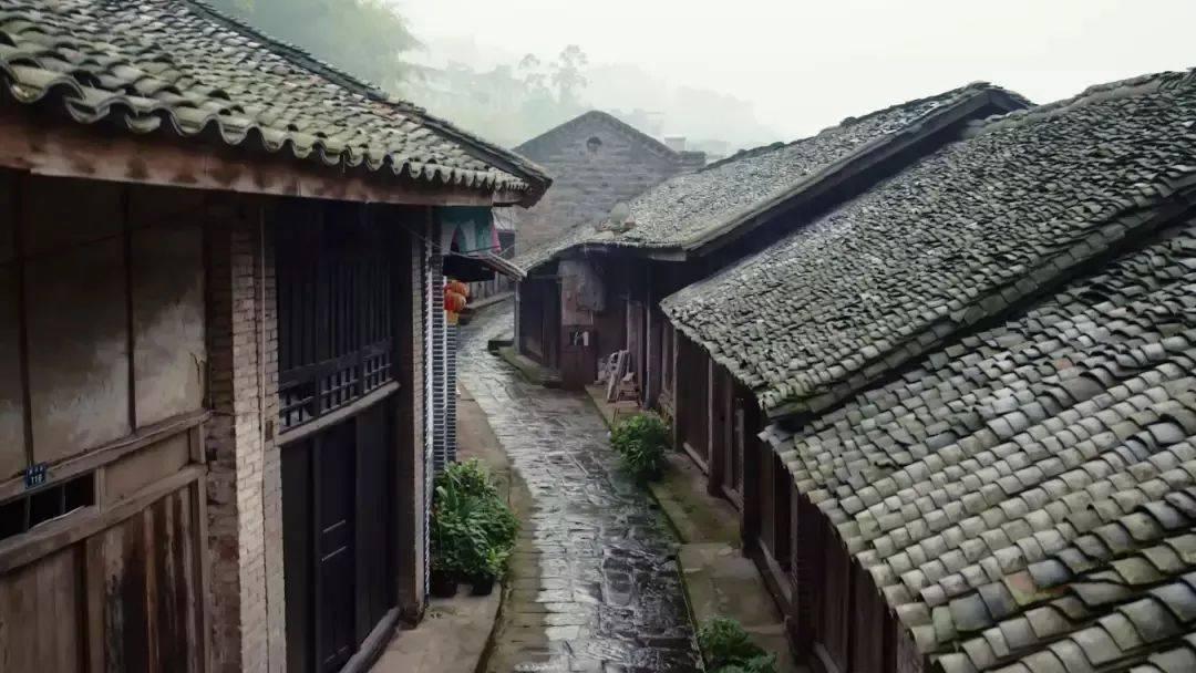 网络公司逃脱